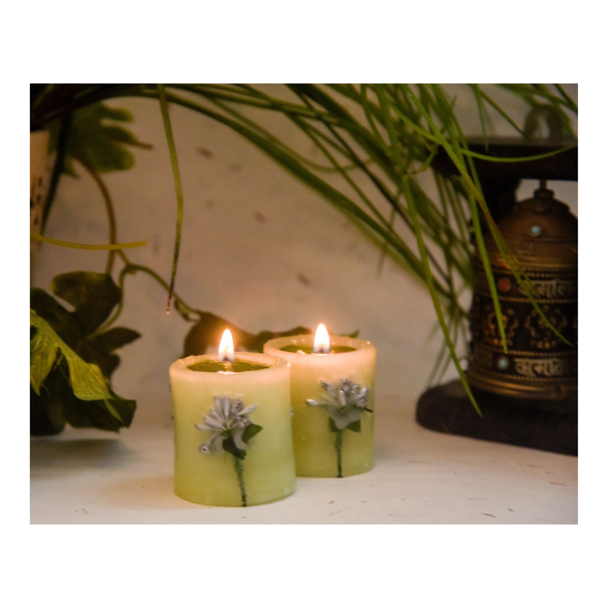 Lemon Grass Cylinder Candle - Image 2